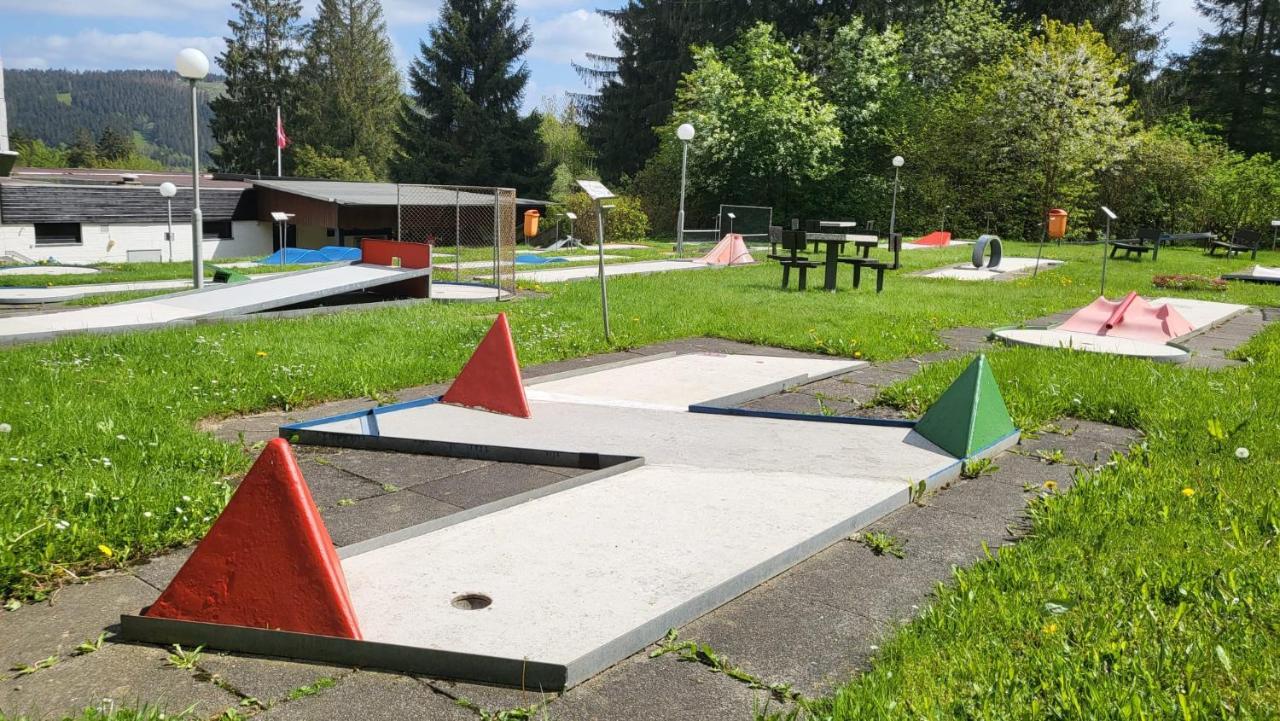 Traumausblick Hahnenklee *